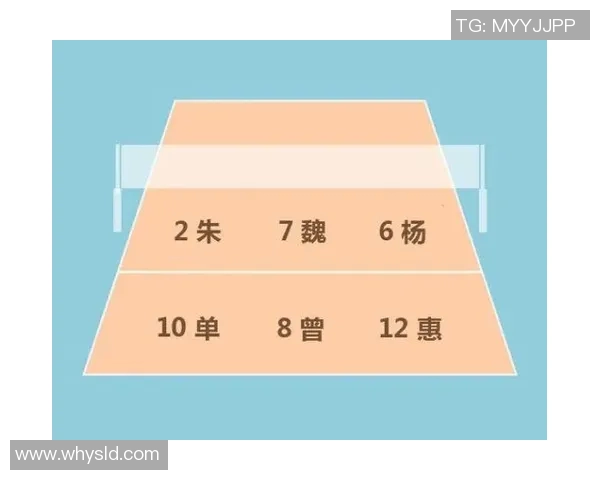 北京排球队中路突破战术解析与未来发展展望