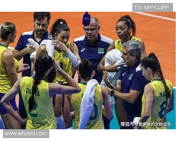 广州排球队战术表现深度分析与数据解读探讨